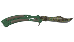 Boreal Forest image