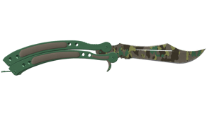 Boreal Forest image