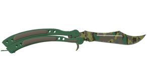 Boreal Forest image