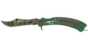 Boreal Forest image