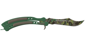 Boreal Forest image