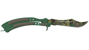 Boreal Forest image