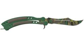 Boreal Forest image