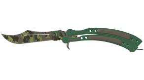 Boreal Forest image