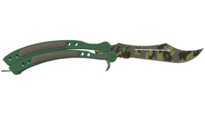 Boreal Forest image