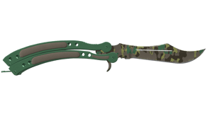 Boreal Forest image