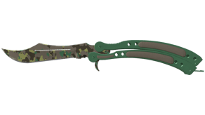 Boreal Forest image