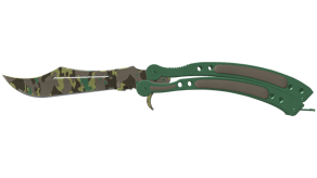 Boreal Forest image