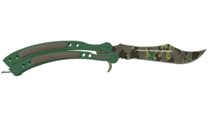 Boreal Forest image