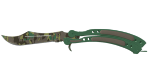 Boreal Forest image