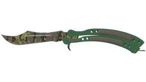 Boreal Forest image