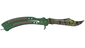 Boreal Forest image