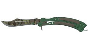 Boreal Forest image