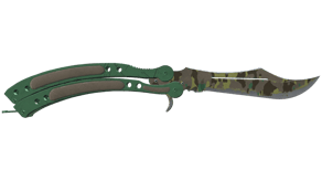 Boreal Forest image
