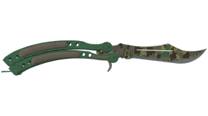 Boreal Forest image