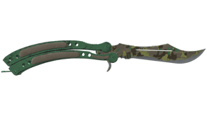 Boreal Forest image