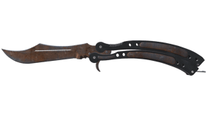 Rust Coat image