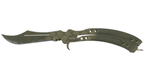 Safari Mesh image