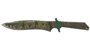 Boreal Forest image
