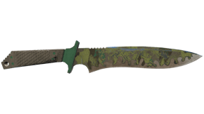 Boreal Forest image