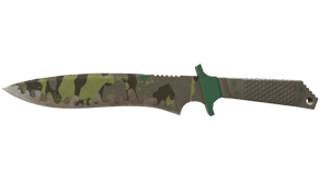 Boreal Forest image