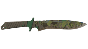 Boreal Forest image