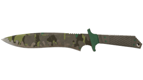 Boreal Forest image