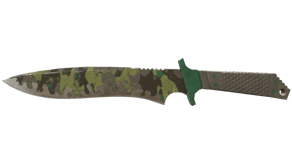 Boreal Forest image