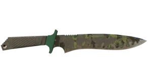 Boreal Forest image