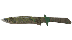 Boreal Forest image