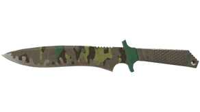 Boreal Forest image
