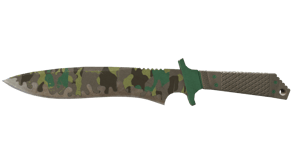 Boreal Forest image