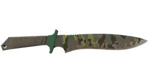 Boreal Forest image