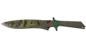 Boreal Forest image