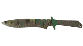 Boreal Forest image