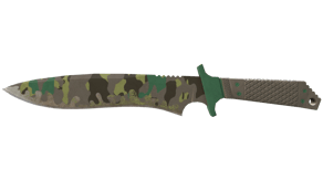 Boreal Forest image
