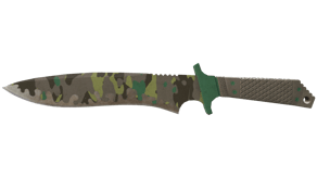 Boreal Forest image