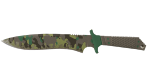 Boreal Forest image
