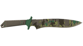 Boreal Forest image