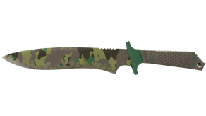 Boreal Forest image