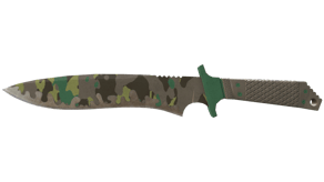 Boreal Forest image