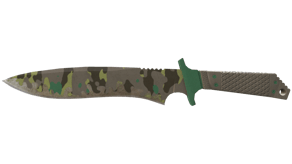 Boreal Forest image