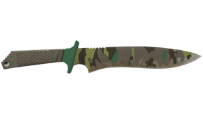 Boreal Forest image