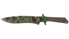 Boreal Forest image