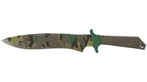 Boreal Forest image