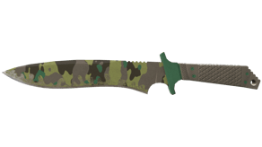 Boreal Forest image