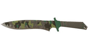 Boreal Forest image