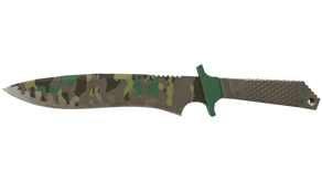 Boreal Forest image