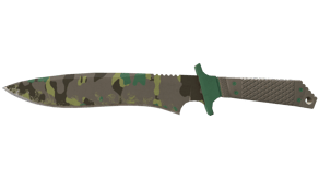 Boreal Forest image