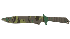 Boreal Forest image